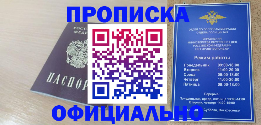 прописка в квартире в Чкаловске